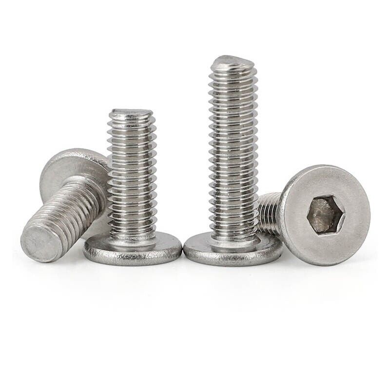 Low Profile Thin Head Stainless Steel Bolts Hex head 10-60mm - M6